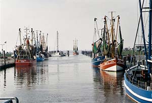 Boote am Kutterhafen in Dorum Neufeld
