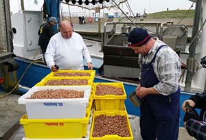 Dorum Fischer am Hafen 